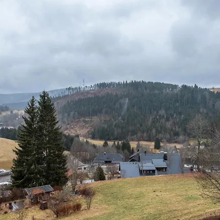 Haus Irmgard Apartman Lenzkirch