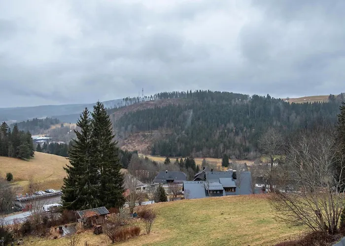 Haus Irmgard Apartman Lenzkirch